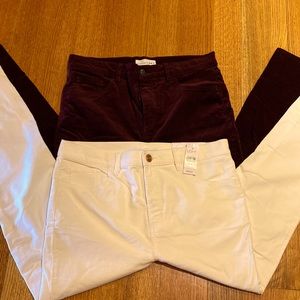 NWT Loft Skinny Pants Size 8- lot of 2- off white and wine colors
